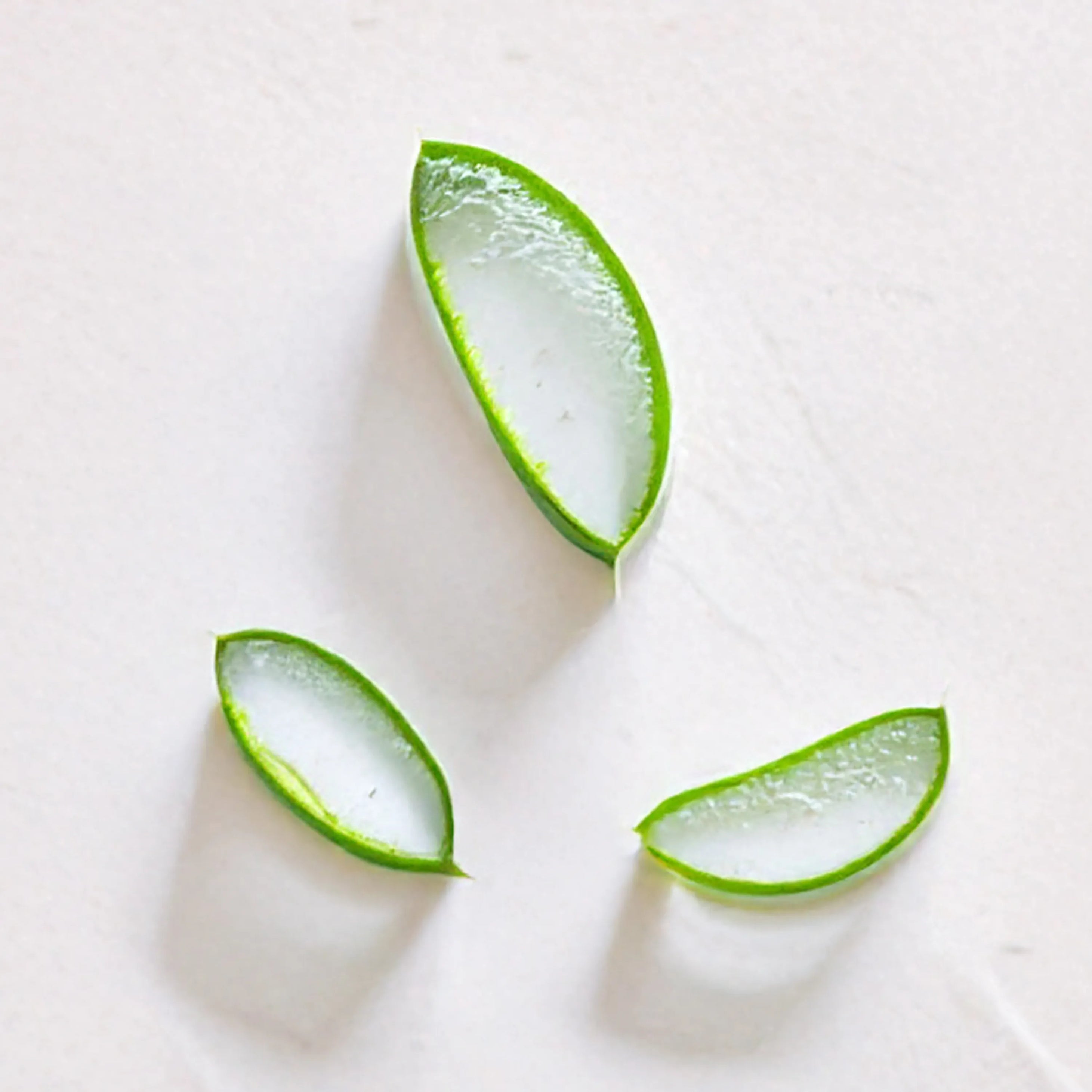 Tres rodajas de Aloe Vera representando Ingrediente activo Aloe Vera Organico Farma Dorsch con propiedades hidratantes, calmantes y regeneradoras para tratamiento facial y corporal sobre fondo blanco suave en cosmetica natural española