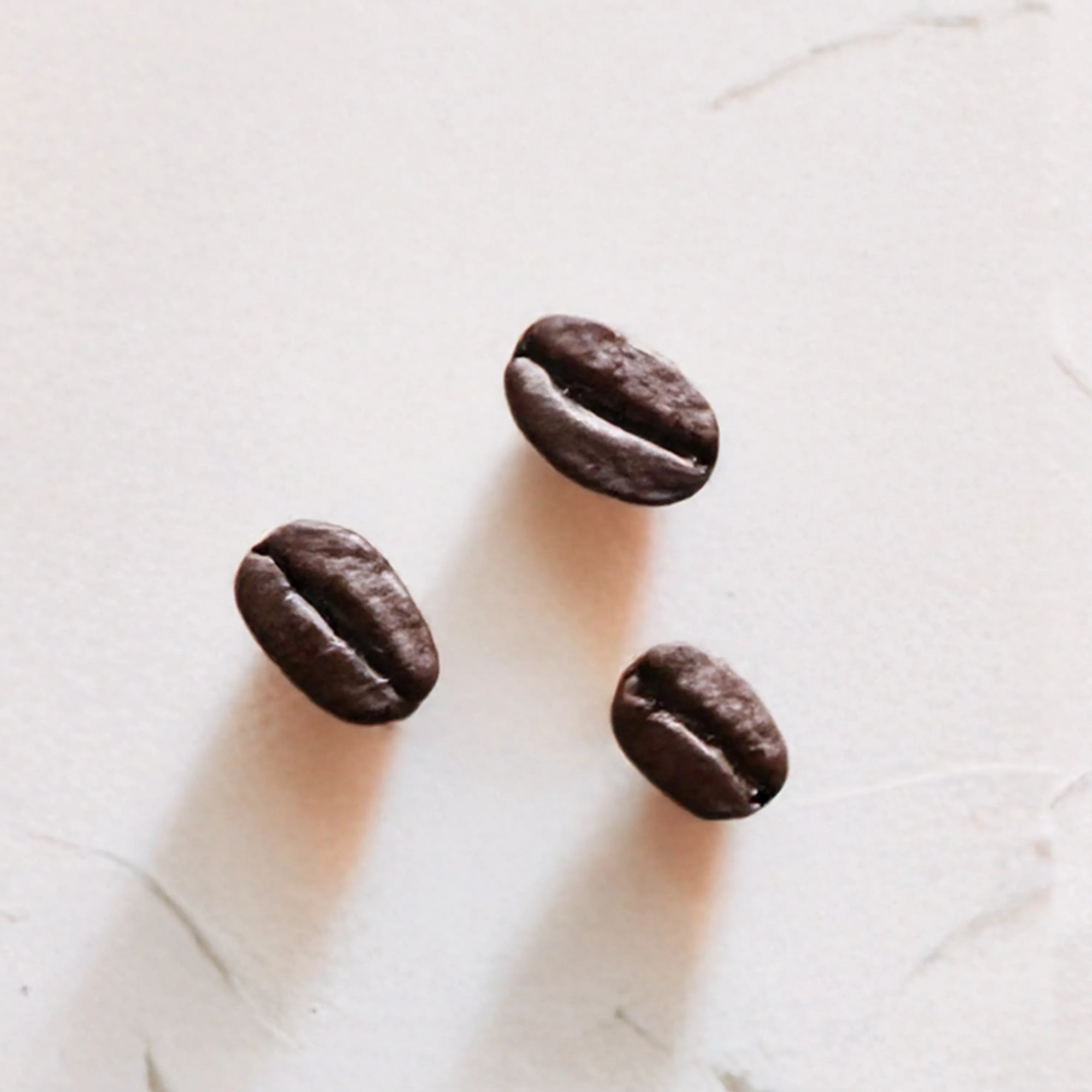 Tres granos de cafe representando Ingrediente activo Cafeina Farma Dorsch con propiedades estimulantes, antioxidantes y para mejorar la circulacion en tratamiento facial y corporal sobre fondo blanco suave en cosmetica natural española