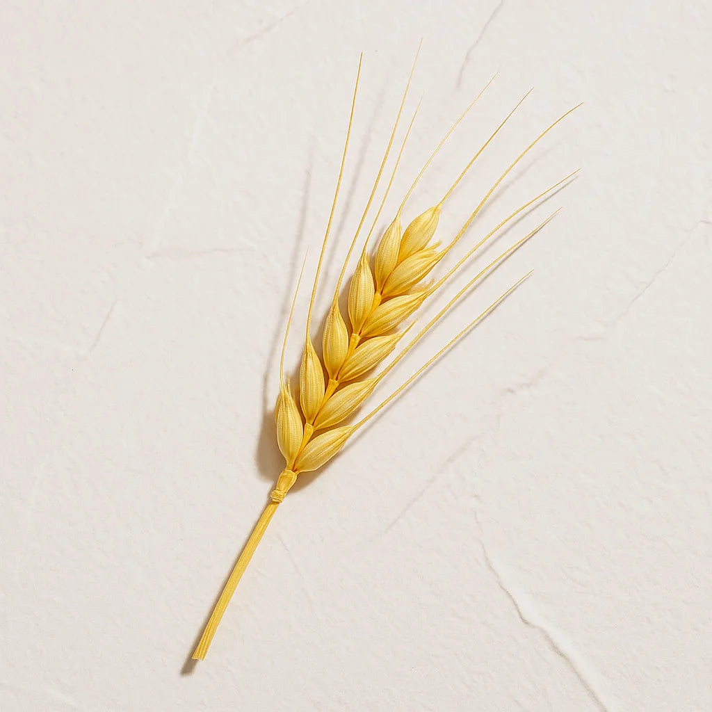 Espiga dorada de Ingrediente activo Ceramidad Farma Dorsch para nutricion y vitalidad de la piel sobre fondo blanco texturizado en cosmetica natural española