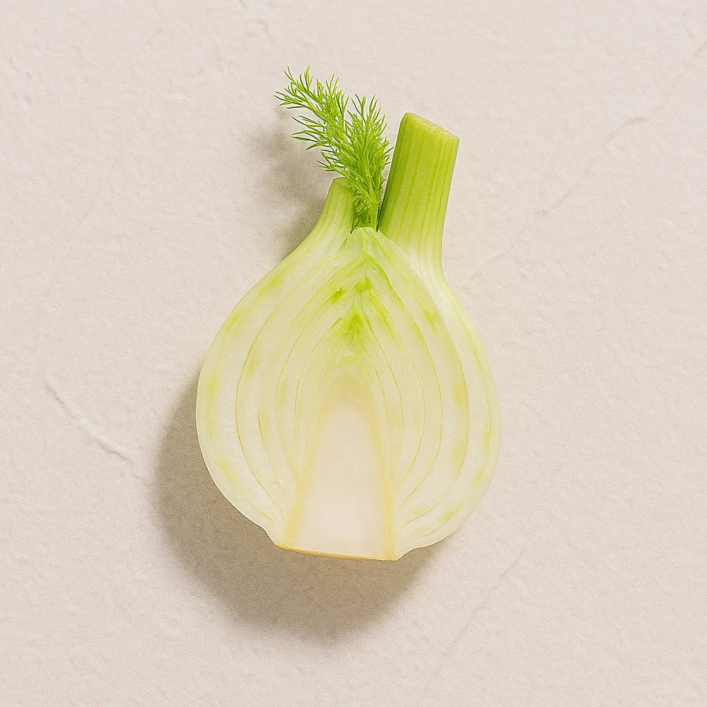 Bulbo de hinojo cortado representando Ingrediente activo Prebiotico Natural Farma Dorsch para equilibrio de la microbiota de la piel y fortalecimiento de la barrera cutanea en tratamiento facial y corporal sobre fondo blanco suave en cosmetica natural española