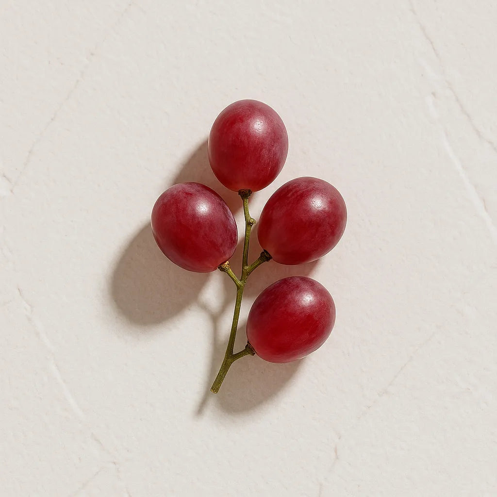 Racimo de uvas rojas representando Ingrediente activo Resveratrol Farma Dorsch con potente accion antioxidante y antiedad para tratamiento facial y corporal sobre fondo blanco suave en cosmetica natural española