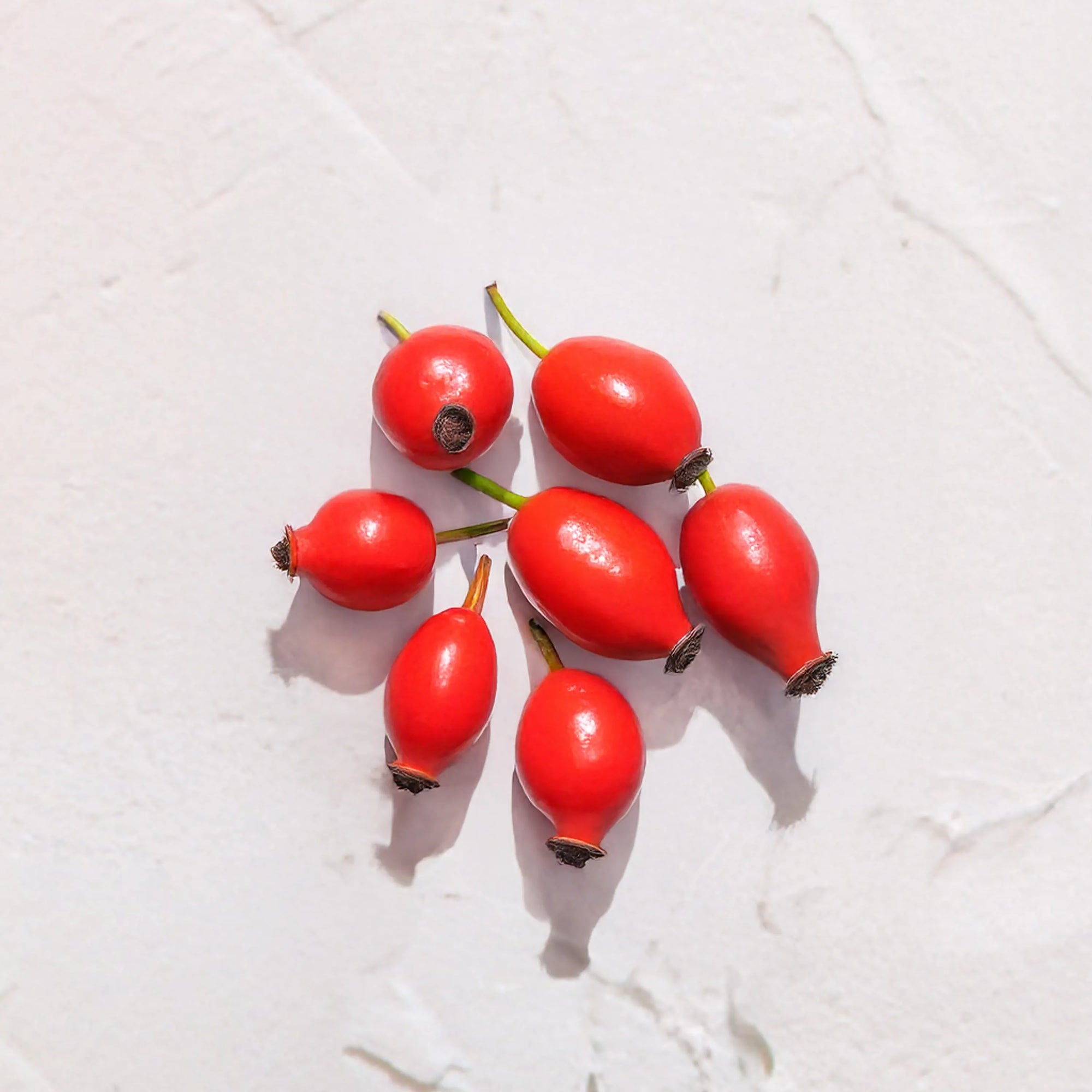 Grupo de escaramujos rojos representando Ingrediente activo Aceite de Rosa Mosqueta Farma Dorsch con propiedades regeneradoras, cicatrizantes e hidratantes para tratamiento facial y corporal sobre fondo blanco suave en cosmetica natural española