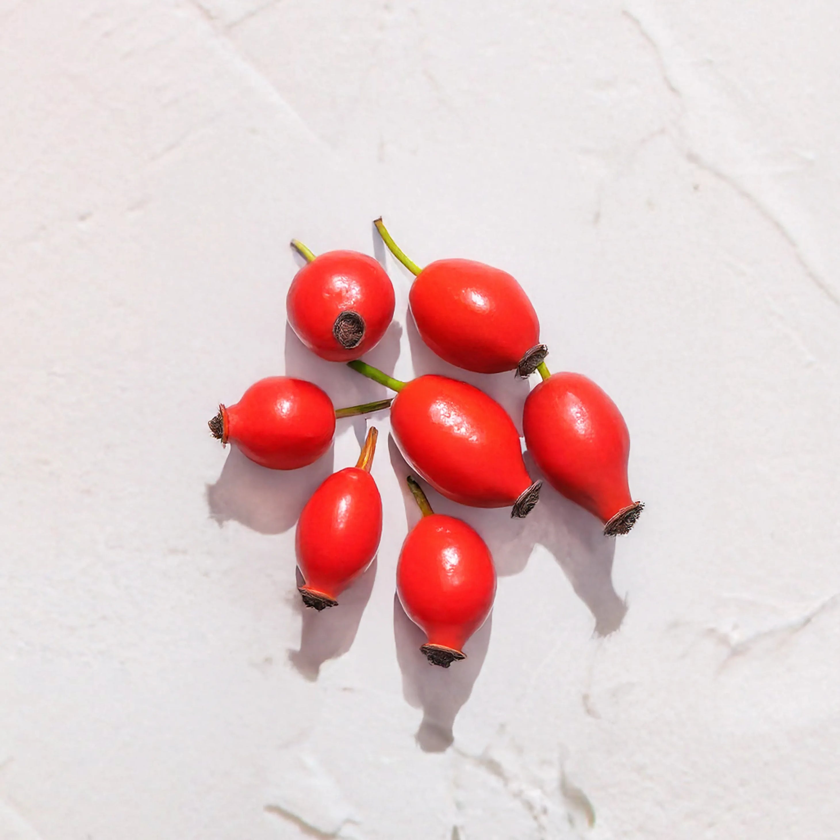 Grupo de escaramujos rojos representando Ingrediente activo Aceite de Rosa Mosqueta Farma Dorsch con propiedades regeneradoras, cicatrizantes e hidratantes para tratamiento facial y corporal sobre fondo blanco suave en cosmetica natural española