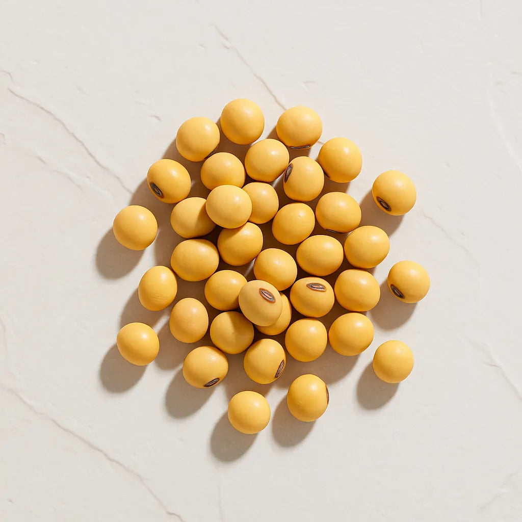 Grupo de semillas de soja representando Ingrediente activo derivado de Soja Farma Dorsch con propiedades antioxidantes y revitalizantes para tratamiento facial y corporal sobre fondo blanco suave en cosmetica natural española