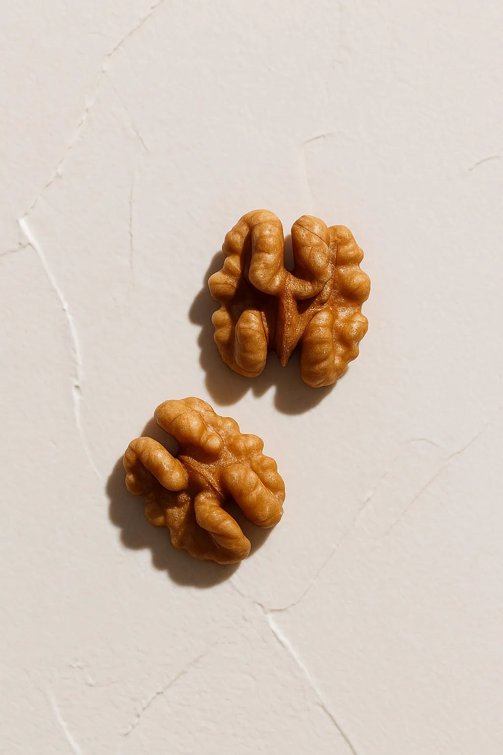 Ingrediente activo Zinc Farma Dorsch con propiedades antibacterianas y reguladoras del sebo para piel grasa sobre fondo blanco suave en cosmetica natural española, Nuez nueces