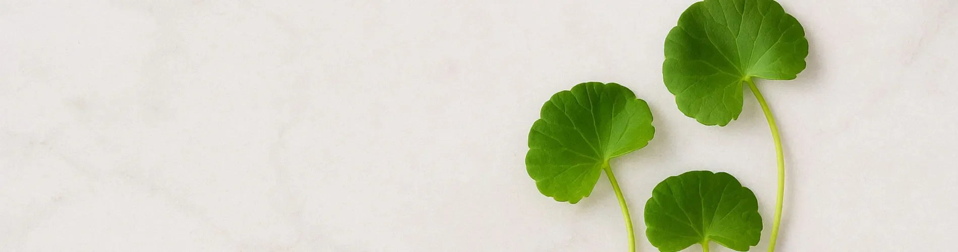 Centella Asiática