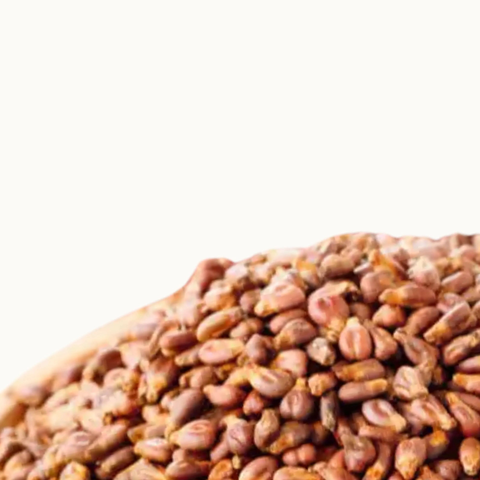 Ingrediente activo factor de crecimiento epitelial FCE aceite de semillas de uva antioxidante, reparador y protector para piel sensible, anti-envejecimiento, hidratante, para todo tipo de piel, tratamiento facial Farma Dorsch.