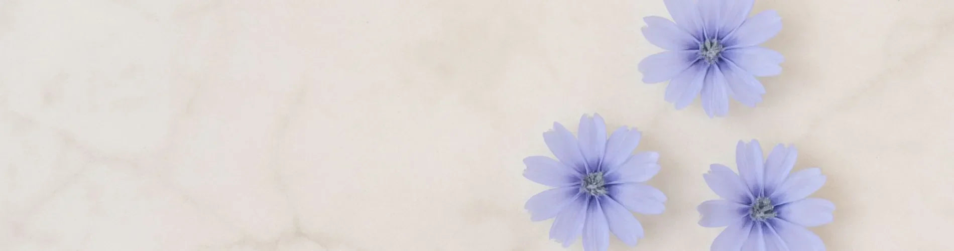 flor fuente de inulina activo cosmético FARMA DORSCH para hidratar y reforzar la microbiota cutánea