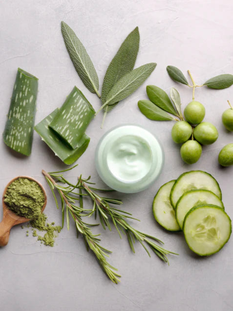 imagen de varios productos naturales entre ellos el aloe, el pepino, ramas de olivo