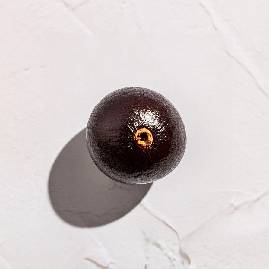 Baya oscura de Acai Azai AÇai  Ingrediente activo Extracto de Acai Farma Dorsch con potente accion antioxidante y revitalizante para tratamiento facial y corporal sobre fondo blanco suave en cosmetica natural española