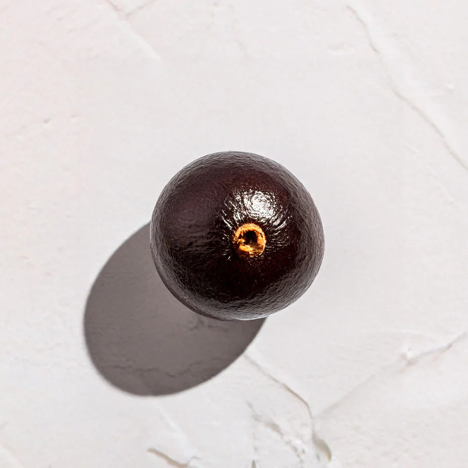 Baya oscura de Acai Azai AÇai  Ingrediente activo Extracto de Acai Farma Dorsch con potente accion antioxidante y revitalizante para tratamiento facial y corporal sobre fondo blanco suave en cosmetica natural española