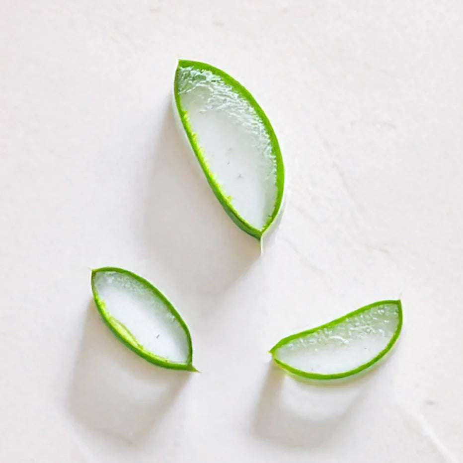 Tres rodajas de Aloe Vera representando Ingrediente activo Aloe Vera Orgánico Farma Dorsch con propiedades hidratantes, calmantes y regeneradoras para tratamiento facial y corporal sobre fondo blanco suave en cosmética natural española