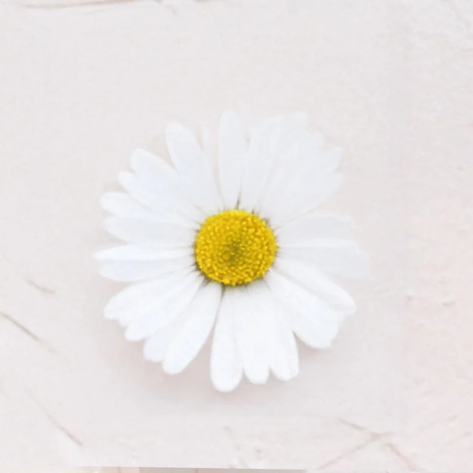 Ingrediente activo Retinol Vegetal de Bidens Pilosa flor blanca con centro amarillo Farma Dorsch con acción similar al retinol sin irritación para piel sensible sobre fondo blanco suave en cosmética natural española