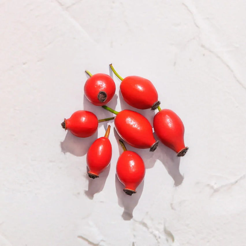 Grupo de escaramujos rojos representando Ingrediente activo Aceite de Rosa Mosqueta Farma Dorsch con propiedades regeneradoras, cicatrizantes e hidratantes para tratamiento facial y corporal sobre fondo blanco suave en cosmética natural española