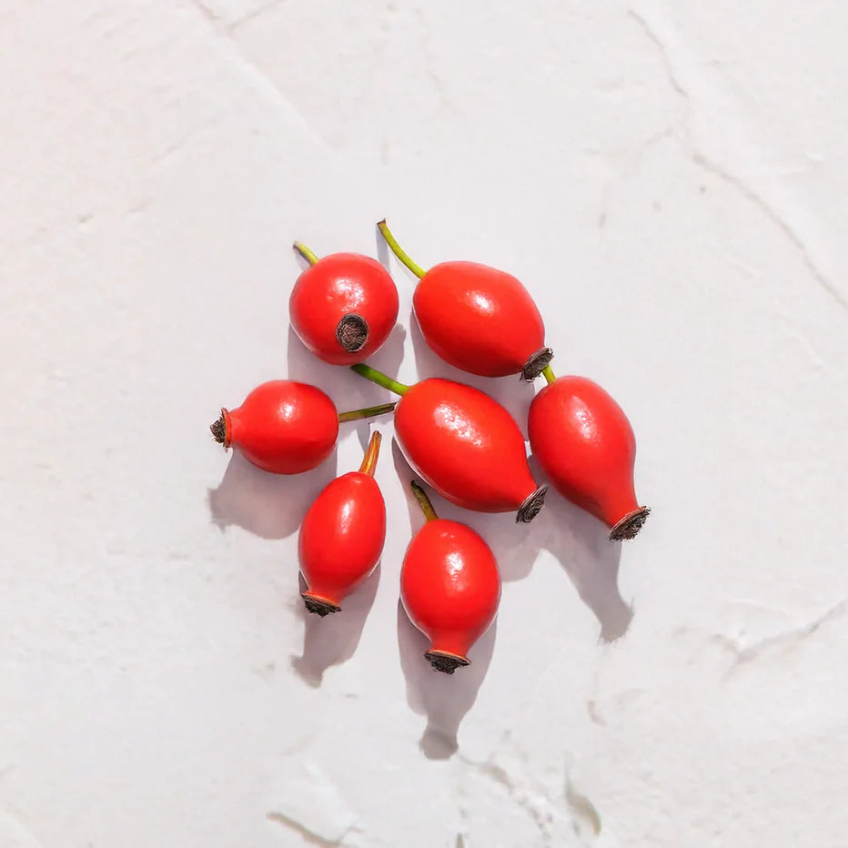 Grupo de escaramujos rojos representando Ingrediente activo Aceite de Rosa Mosqueta Farma Dorsch con propiedades regeneradoras, cicatrizantes e hidratantes para tratamiento facial y corporal sobre fondo blanco suave en cosmética natural española