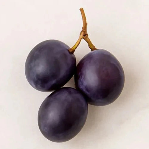 3 uvas moradas de un racimo, destacadas como fuete natural de resveratrol, ingrediente activo en tratamientos antiedad de FARMA DORSCH para protección de daños ambientales y conservar